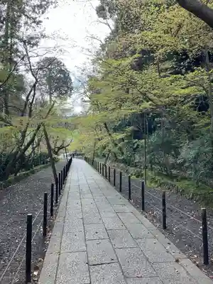 光明寺（粟生光明寺）(京都府)