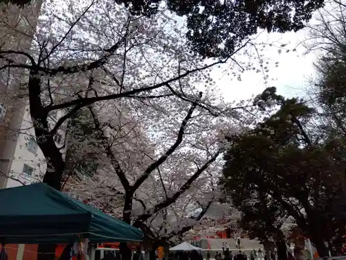 花園神社の自然
