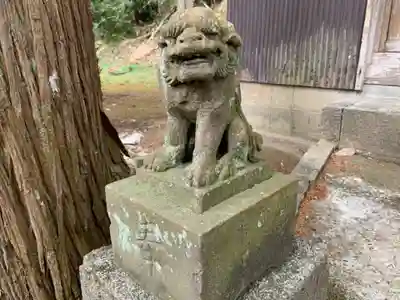 熊野神社の狛犬