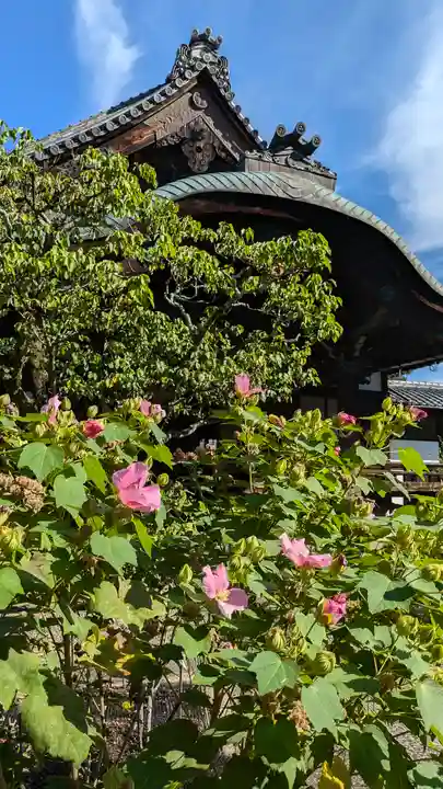 得浄明院(善光寺別院)(京都府)