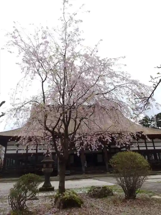 浄興寺(新潟県)