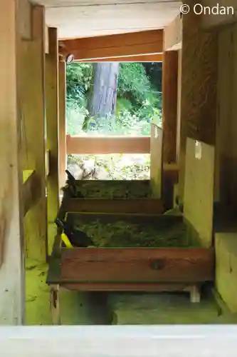 出雲大社(島根県)