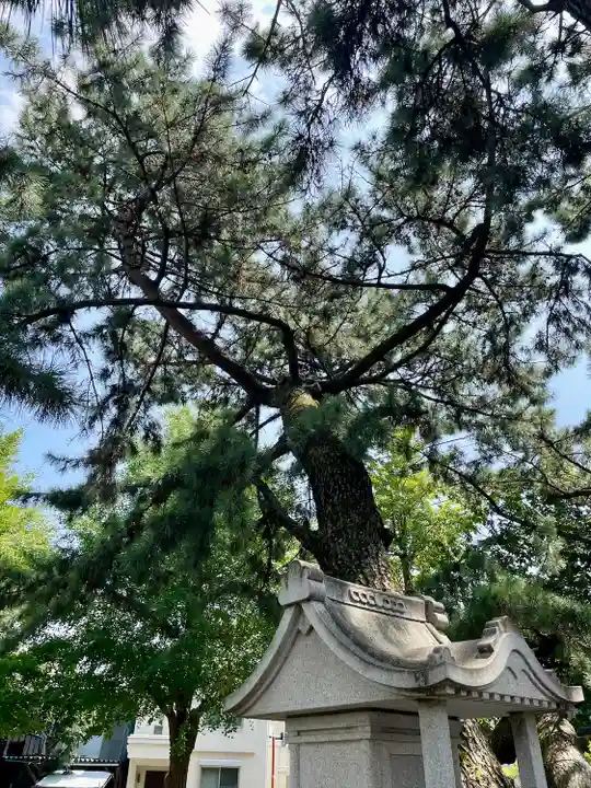 平塚三嶋神社(神奈川県)