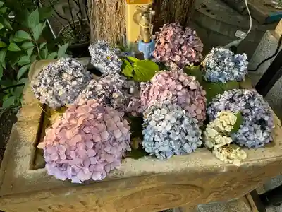 菊名神社の手水舎