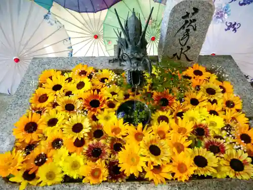 札幌諏訪神社の手水舎