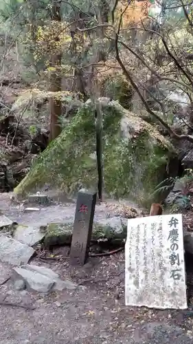 名草厳島神社の自然