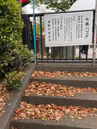 上野大佛(東京都)