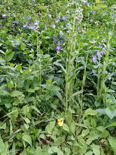 白狐山光星寺(山形県)