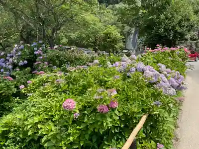 観音寺(京都府)
