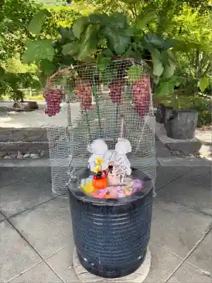 東光寺(山梨県)