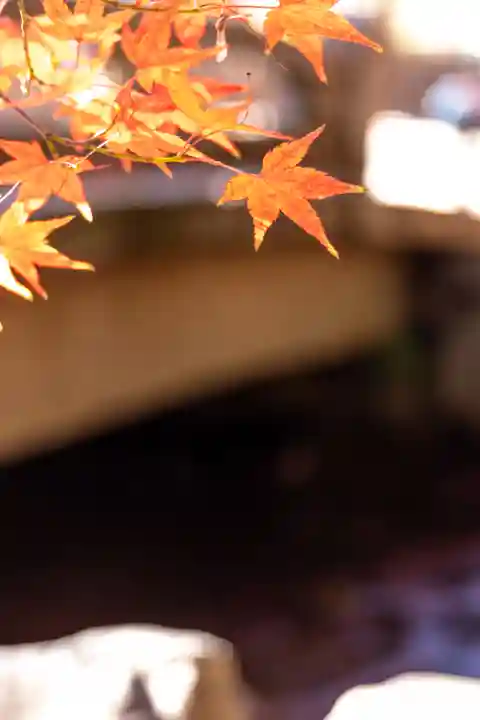 賀茂別雷神社(上賀茂神社)(京都府)