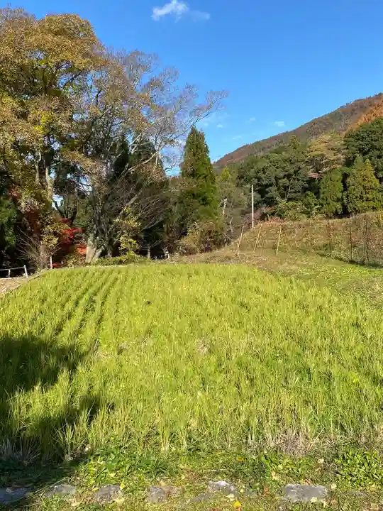 出雲大神宮(京都府)