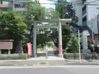 松戸神社の鳥居