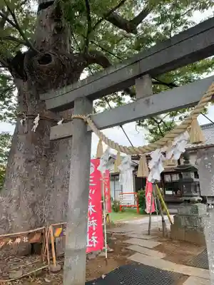三ツ木神社(埼玉県)