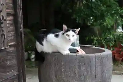 観音正寺(滋賀県)