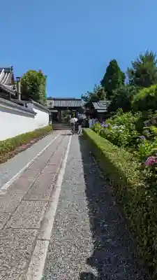 東林院(京都府)