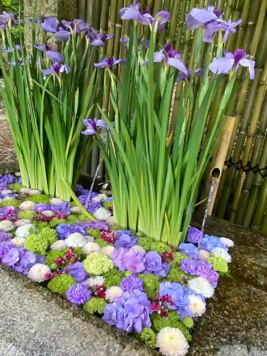 日吉大社の自然