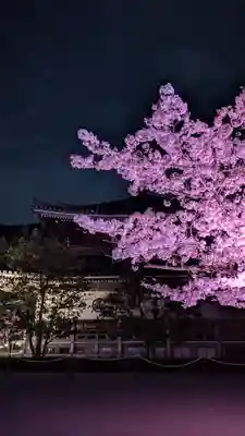 知恩院(京都府)