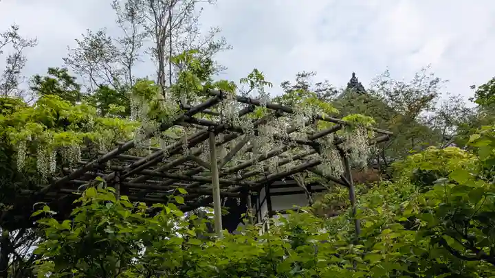 當麻寺奥院(奈良県)