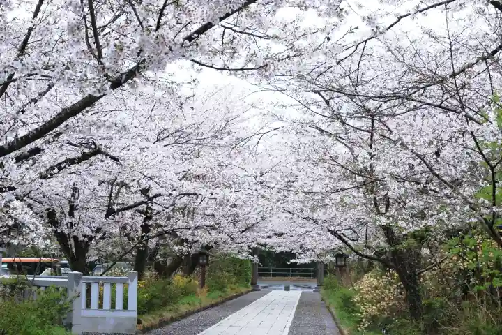 高麗神社の{uncategorized: "未分類", other: "その他", undefined: "問題あり", building: "その他建物", grave: "お墓", sacred_gate: "鳥居", guardian: "狛犬", statue: "像", buddha: "仏像", history: "歴史", nature: "自然", garden: "庭園", animal: "動物", pagoda: "塔", temizu: "手水舎", mountain_gate: "山門・神門", sanctuary: "本殿・本堂", subordinate: "末社・摂社", art: "芸術", scenery: "景色", jizo: "地蔵", ema: "絵馬", goshuin: "御朱印", omikuji: "おみくじ", items: "授与品その他", amulet: "お守り", goshuincho: "御朱印帳", eats: "食事", festival: "お祭り", votive_dance: "神楽", shichigosan: "七五三参", wedding: "結婚式", experience: "体験その他", initially: "初詣", around: "周辺", anti_infection: "感染症対策"}