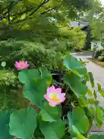 伊勢の国 四天王寺(三重県)