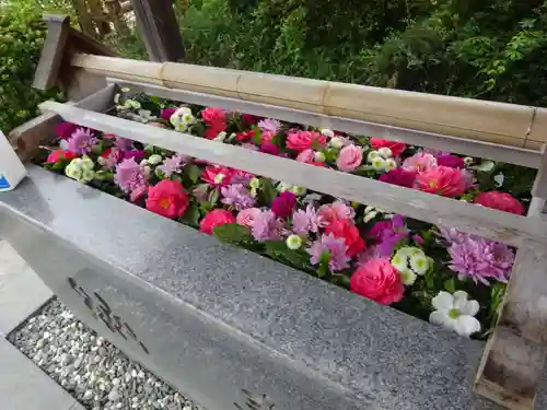 豊景神社の手水