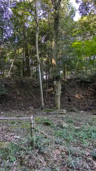 浄瑠璃寺(京都府)