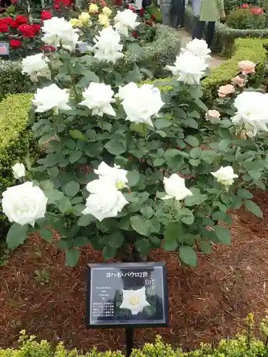 大國神社(東京都)