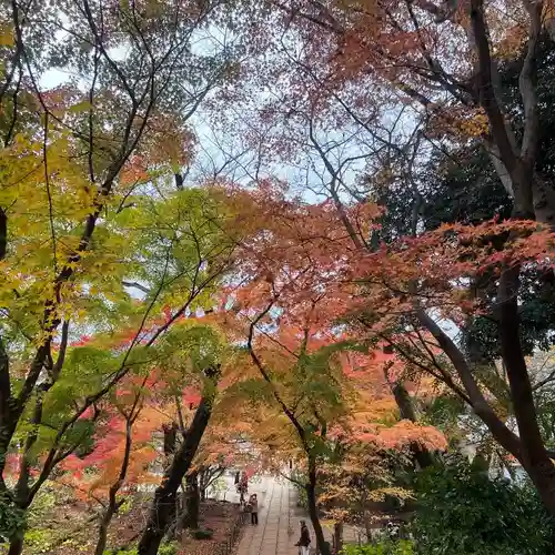 本土寺(千葉県)