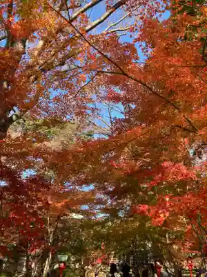 淨眞寺(東京都)