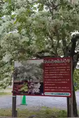 岡湊神社の自然