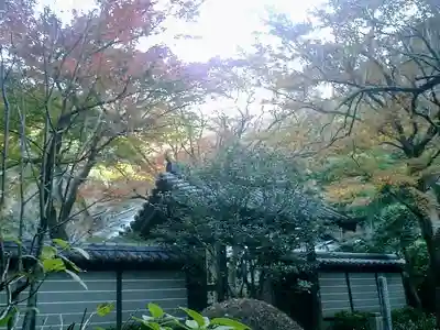 瑞泉寺の山門・神門
