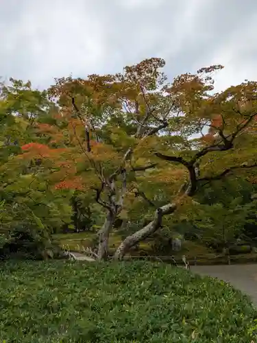 宝厳院(京都府)