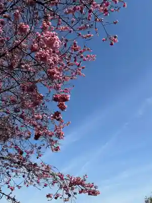 八幡神社(神奈川県)