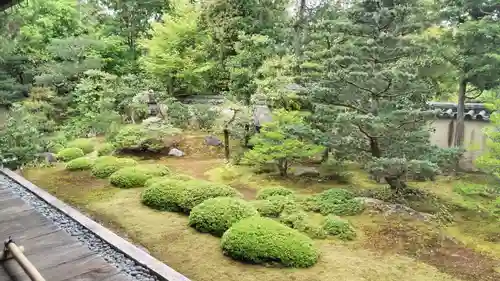 大雄院の庭園