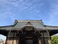 日蓮宗 浄運寺の御朱印