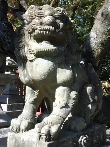 花山稲荷神社の狛犬