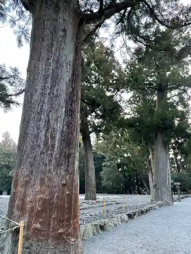 伊勢神宮外宮（豊受大神宮）の自然