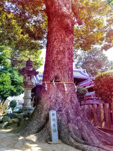 北野天神社の自然