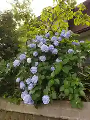 賀茂神社の自然