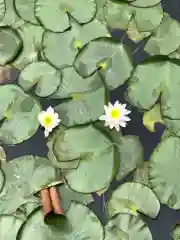 大生郷天満宮の自然