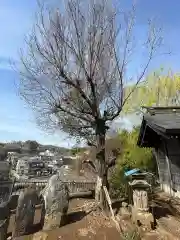 山王神社(神奈川県)