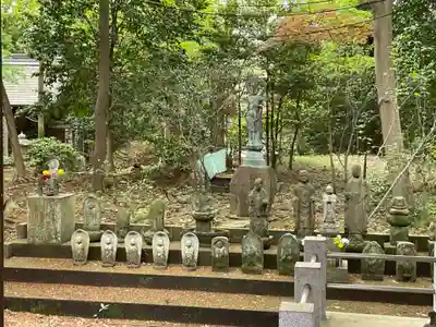 養樹院(圓通庵）(東京都)