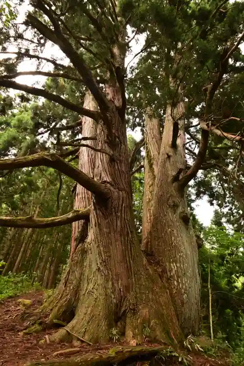 白山中居神社(岐阜県)