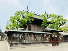 今宮戎神社(大阪府)