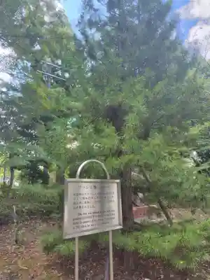 増上寺(東京都)