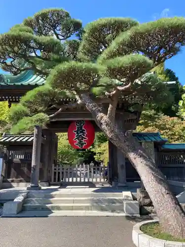 長谷寺の山門・神門