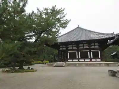 唐招提寺の本殿・本堂