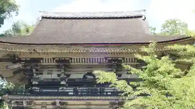 園城寺（三井寺）(滋賀県)