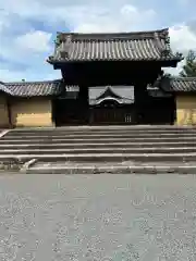 隨心院（随心院）(京都府)